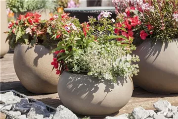 Auf Schädlinge achten