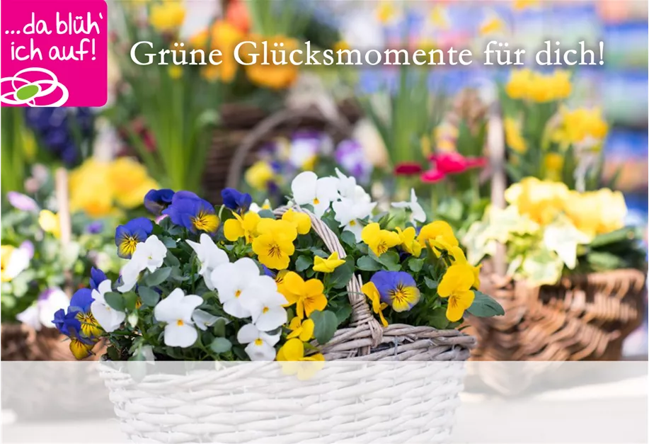 individualisieren und direkt per Mail erhalten! 